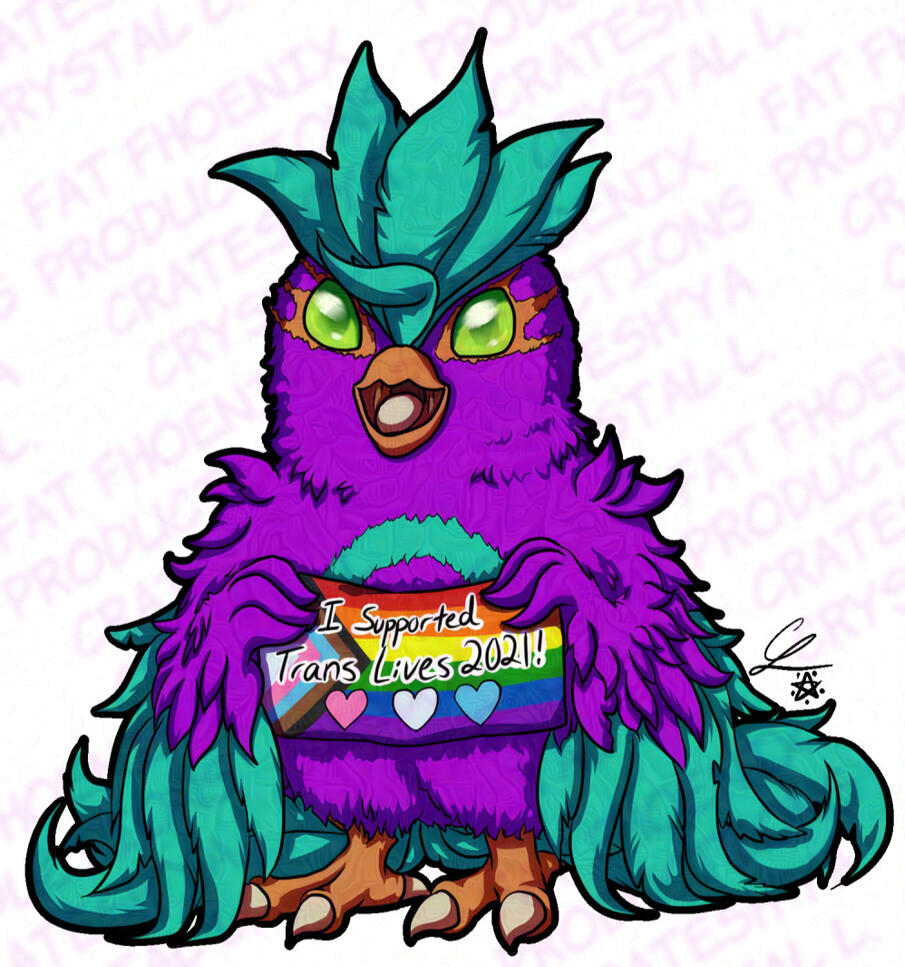 Teechep Charity Fhoenix Adoptable (1 1/2 hour adopt, CSP, February)